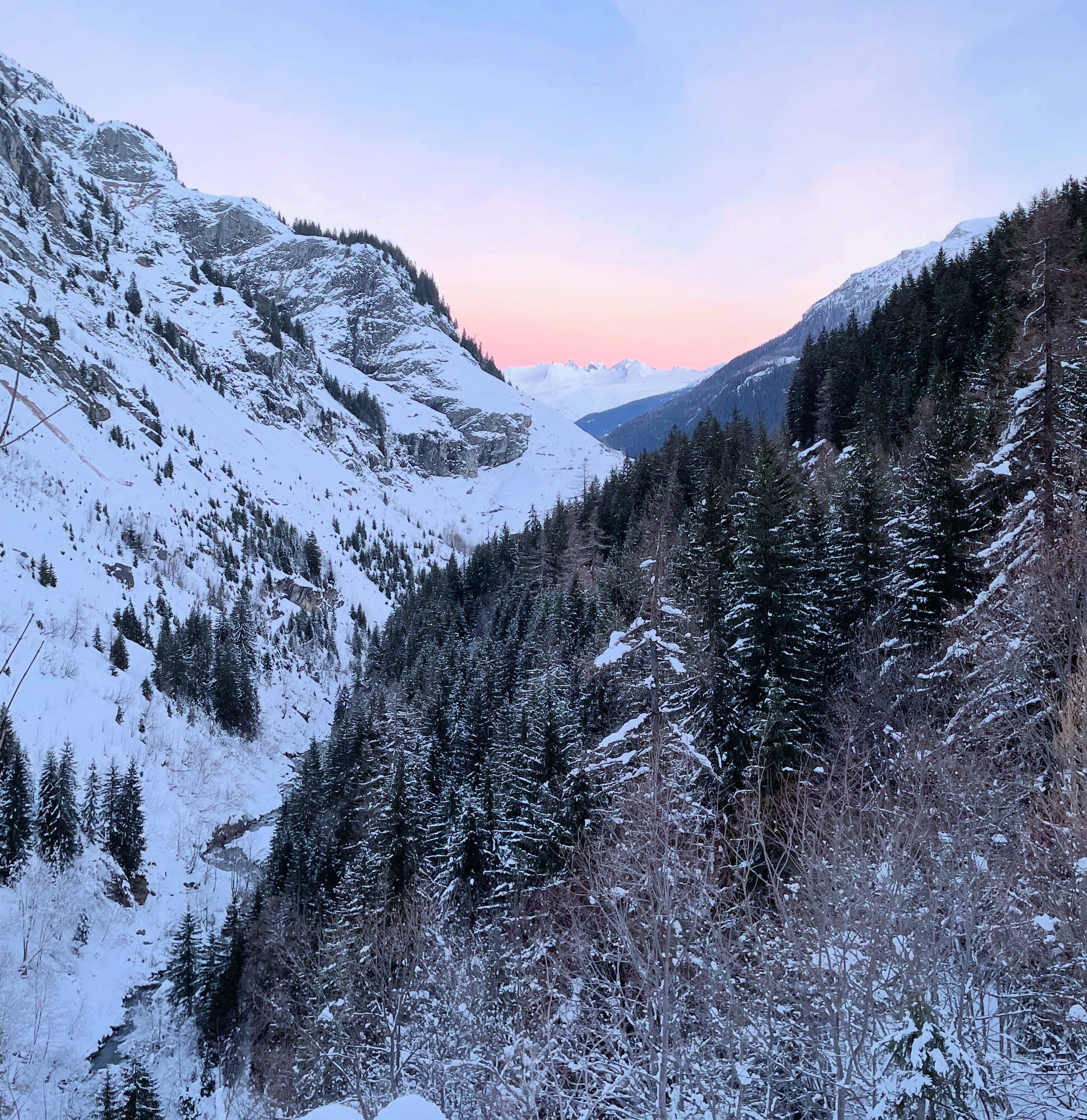 Above the treeline : trends shaping the French Alps